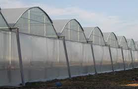 Plastic greenhouses
