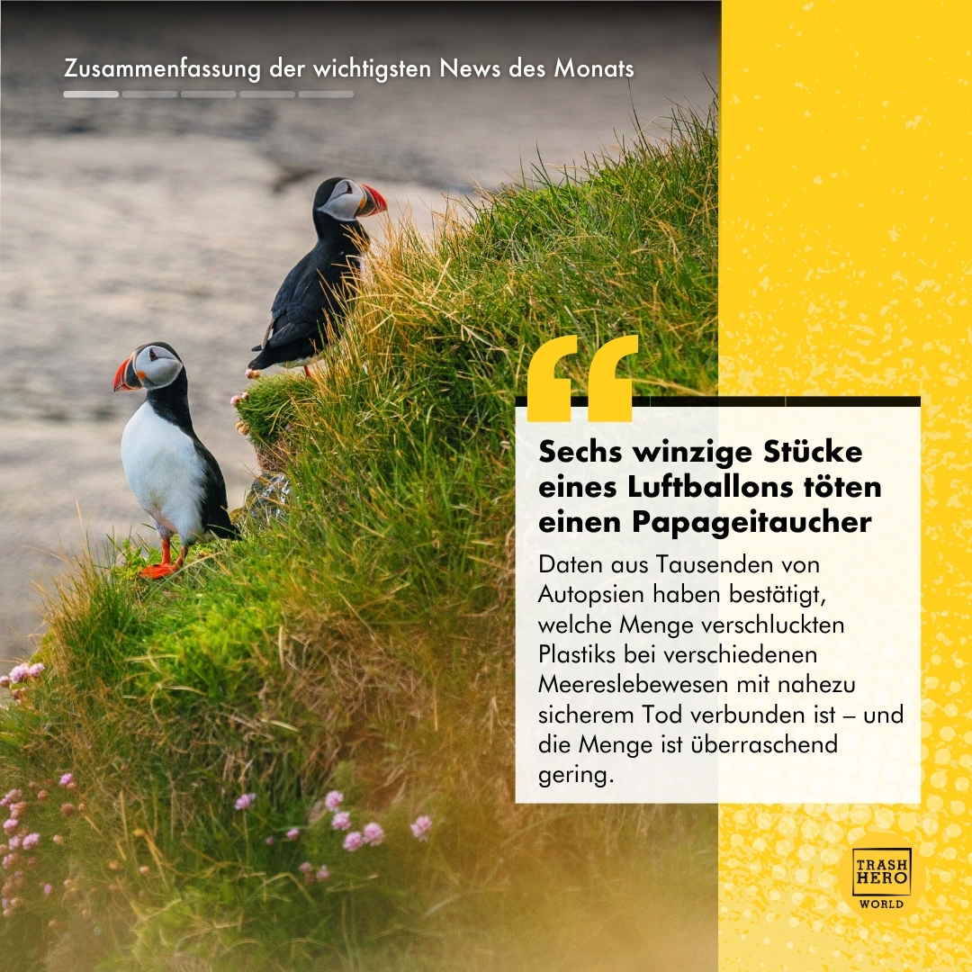 Dezember 2025 : Die wichtigsten News des Monats