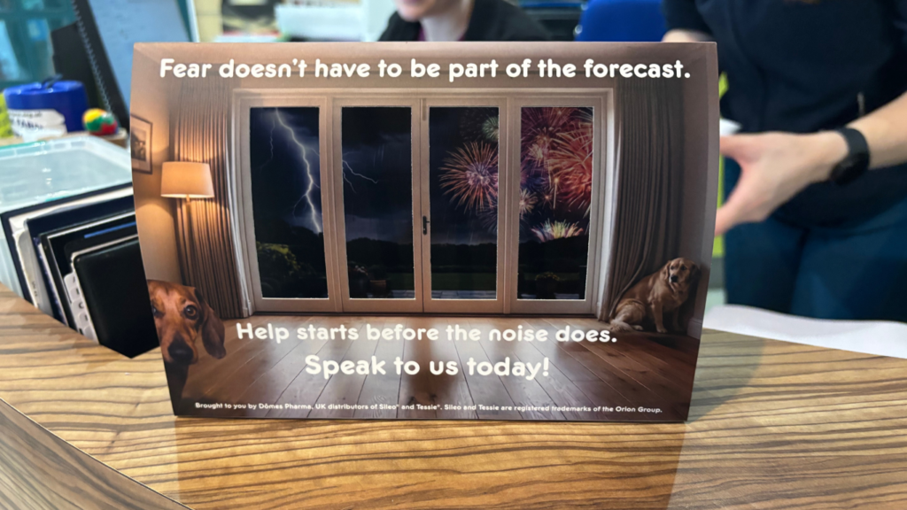 Hinweisschild in einer Tierarztpraxis in England zum Thema Feuerwerk und Gewitter, das einen verängstigten Golden Retriever zeigt